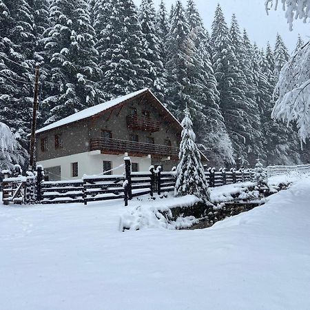 Chiba Chalet Timişu de Jos Exterior foto