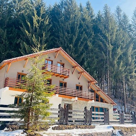 Chiba Chalet Timişu de Jos Exterior foto