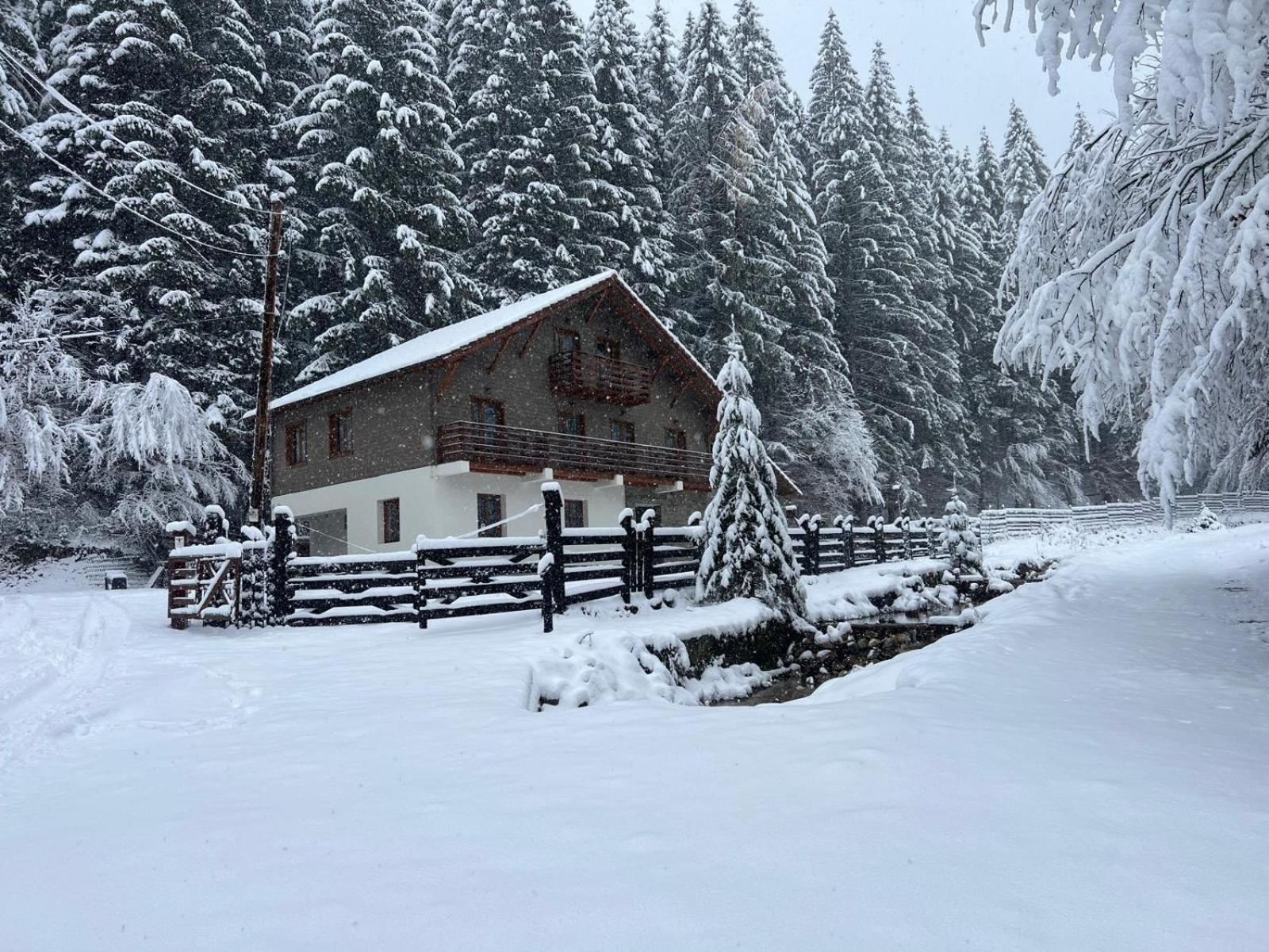 Chiba Chalet Timişu de Jos Exterior foto