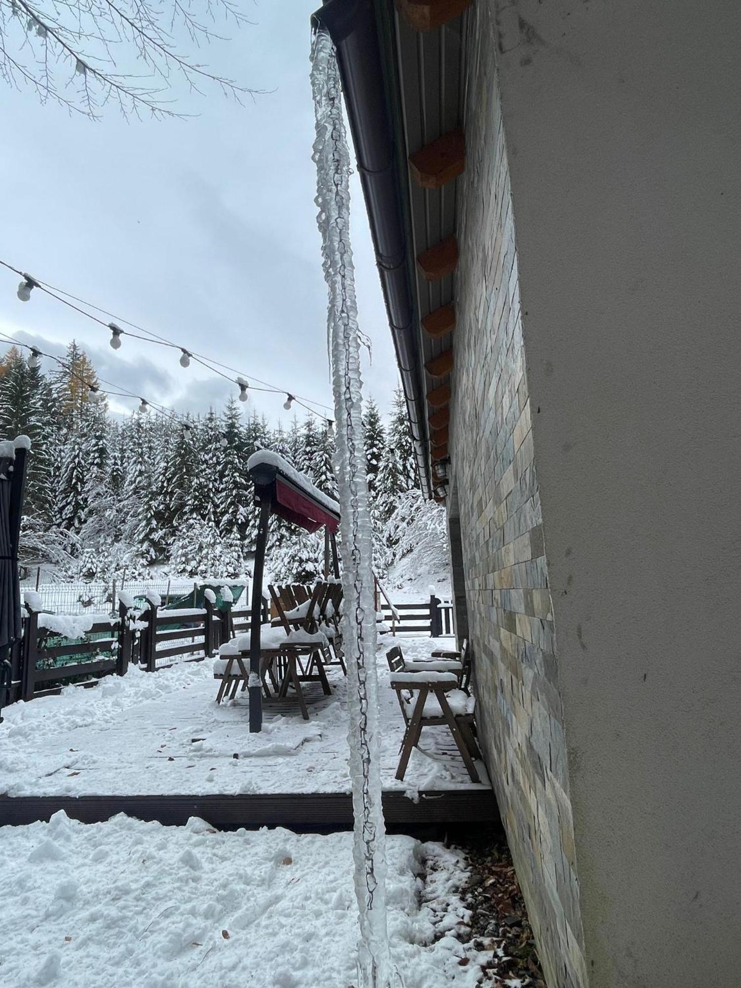 Chiba Chalet Timişu de Jos Exterior foto