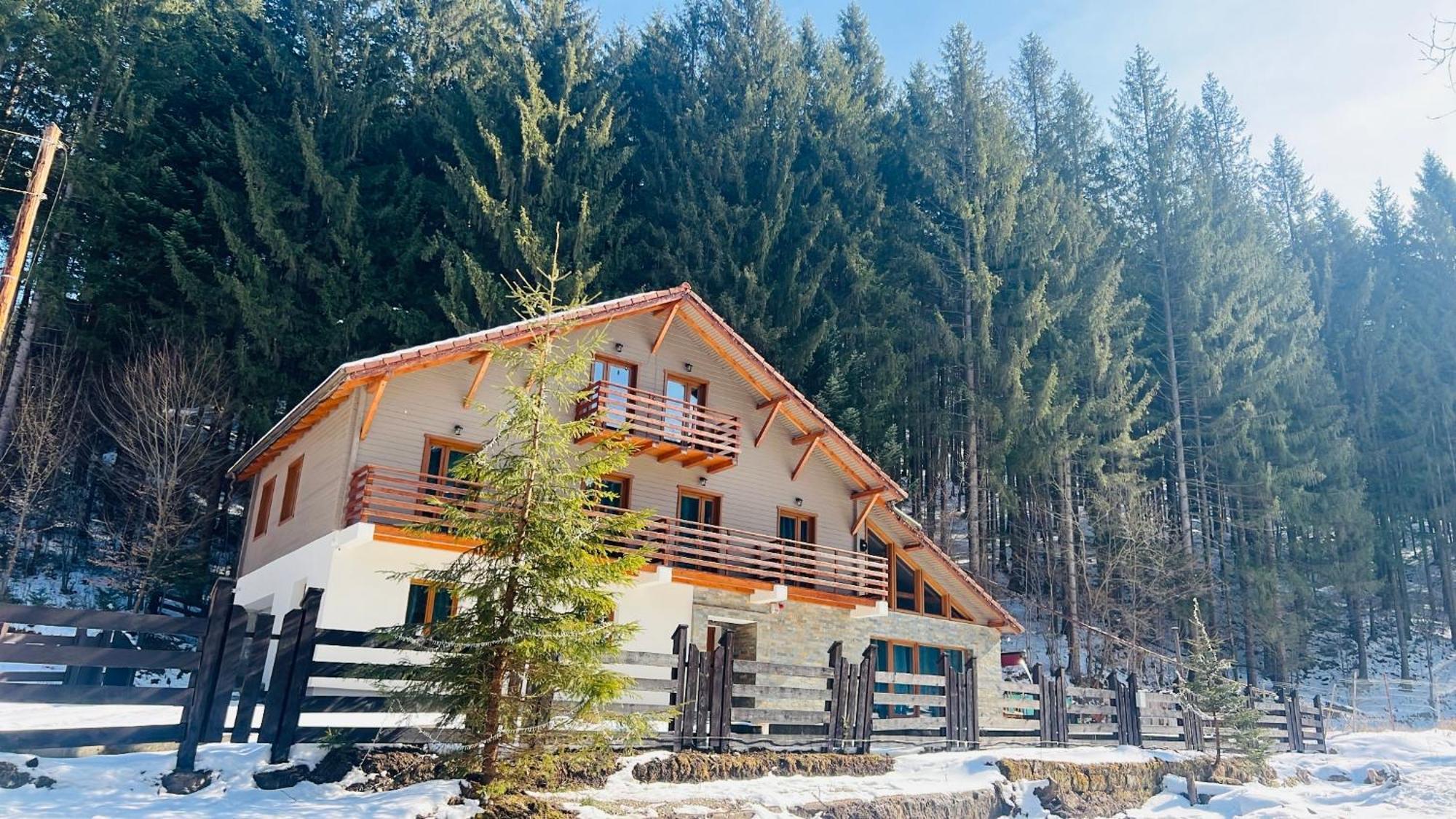 Chiba Chalet Timişu de Jos Exterior foto