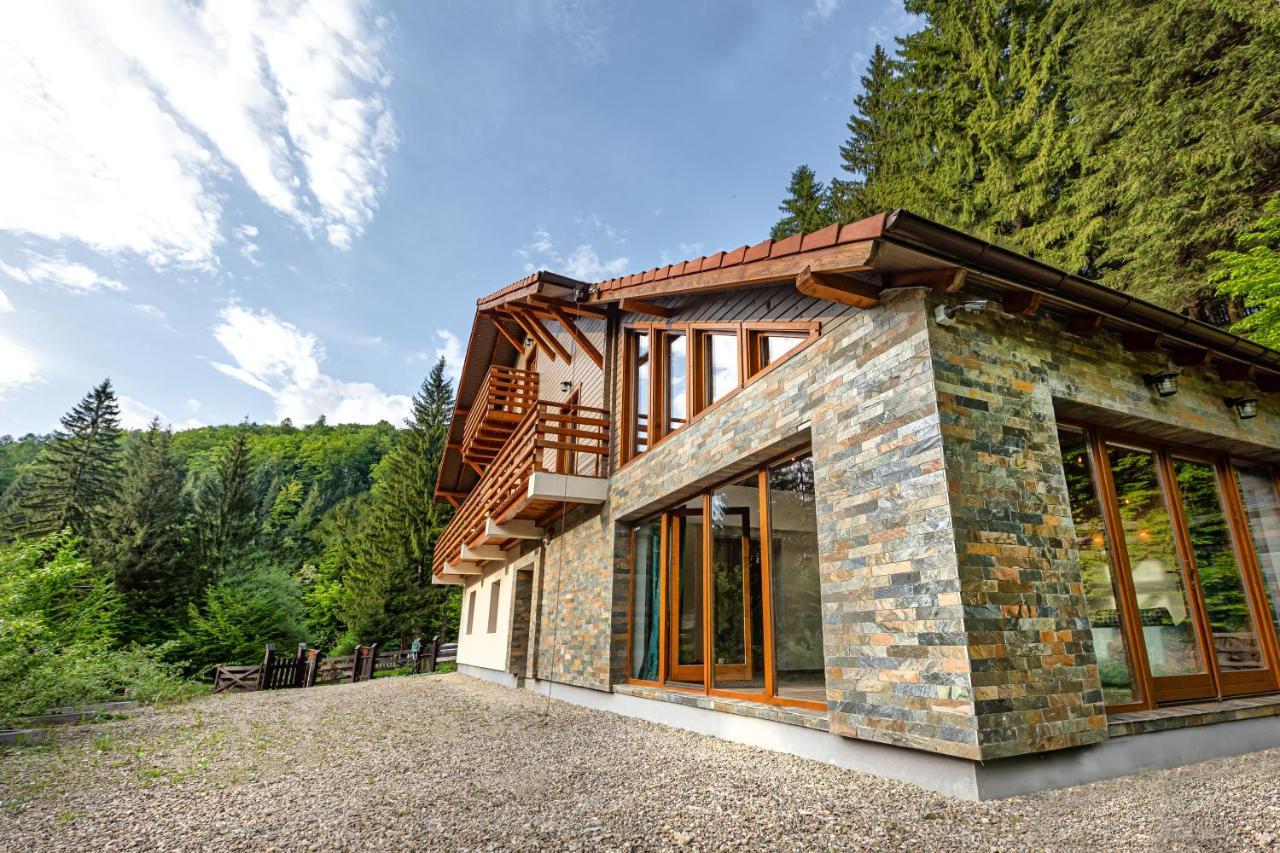 Chiba Chalet Timişu de Jos Exterior foto