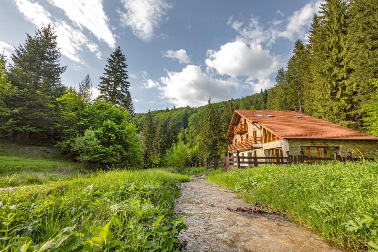 Chiba Chalet Timişu de Jos Exterior foto